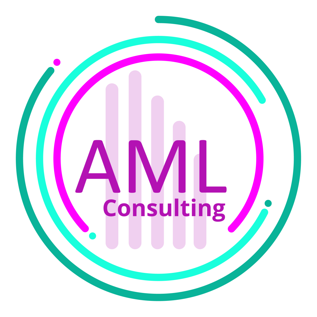 AML Consulting